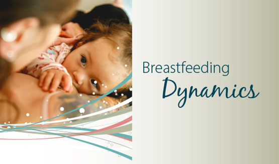Breastfeeding Dynamics (Spanish translation)